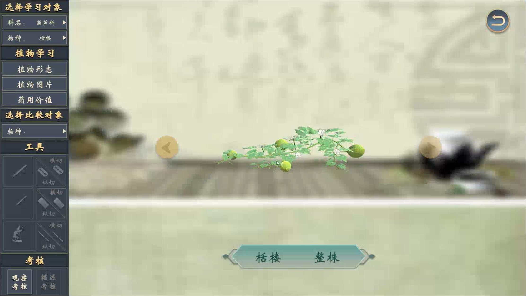 中药植物园仿真平台案例场景截图3