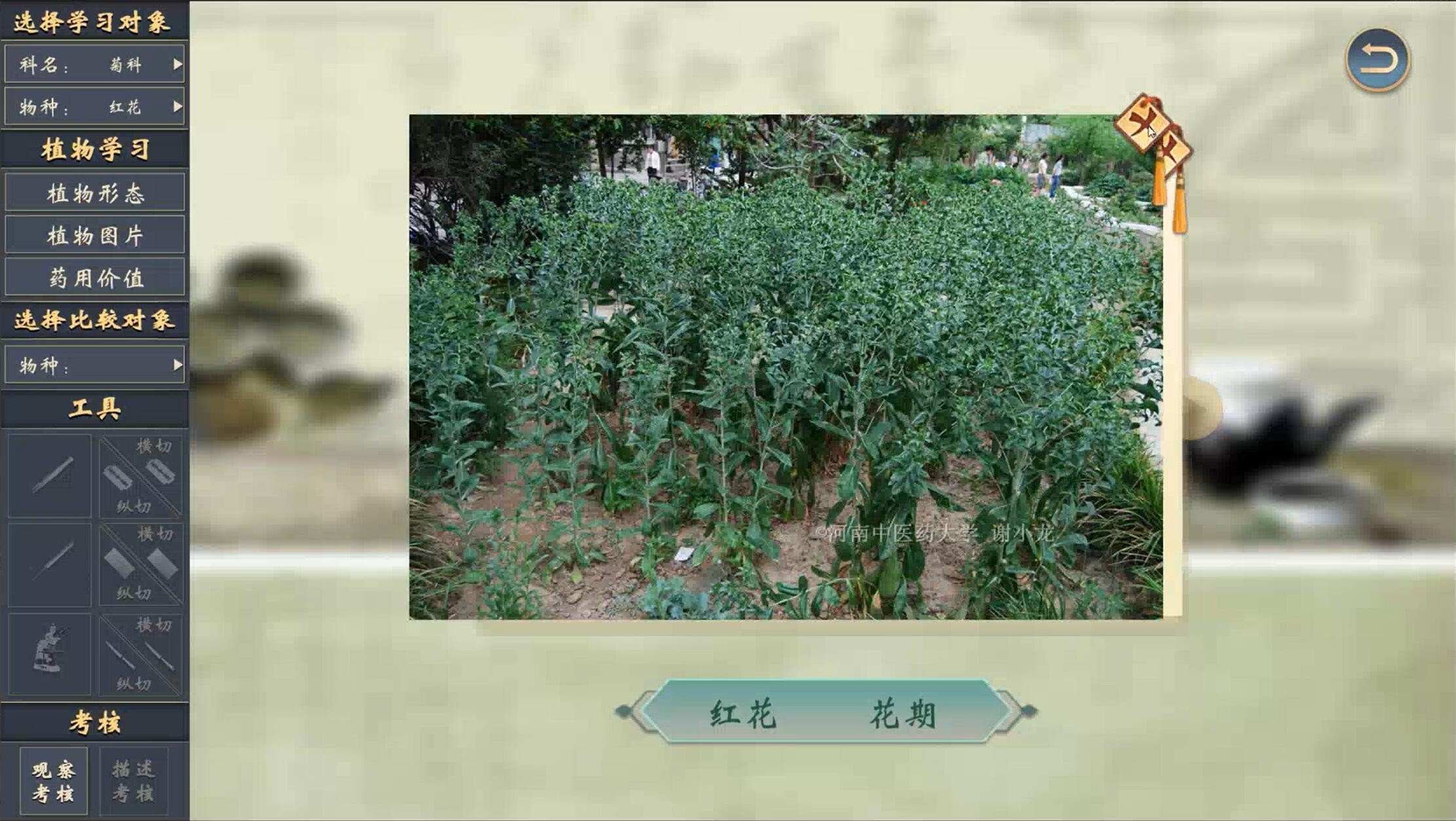 中药植物园仿真平台案例场景截图4